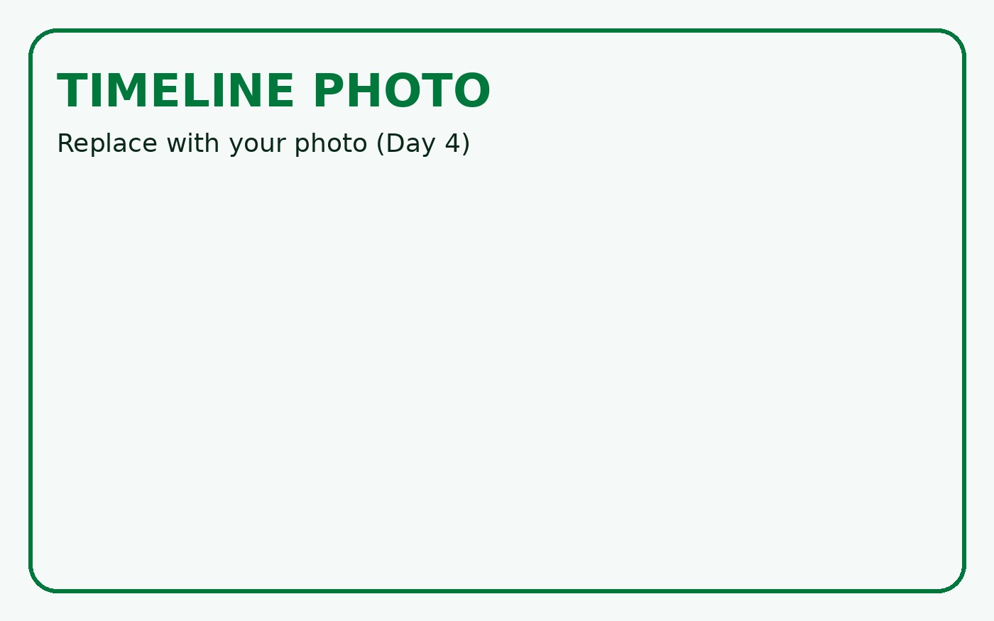Timeline Day 4